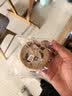 良品铺子全麦黑麦坚果车轮面包早餐大列巴面包吐司欧包出游500g（原味） 实拍图