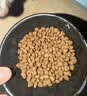 朗亲狗粮肉粒双拼拉布拉多边牧德牧成犬专用通用型狗干粮20kg 实拍图