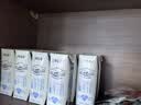 蒙牛特仑苏低脂纯牛奶250ml×16盒 3.6g蛋白 健身减脂 送礼礼盒 实拍图