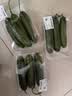 【水果菜】荷兰水果黄瓜约400g 实拍图