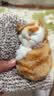 亦趣仿真猫玩偶会叫小猫咪毛绒玩具摆件可爱猫咪公仔女孩儿童生日礼物 会叫橘花猫咪+毛绒垫子 实拍图