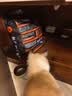 卫加全价猫粮10斤装 成猫猫咪主粮通用型5kg 实拍图