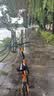 大行（DAHON）自行车p8k3d5坐垫套硅胶加厚加宽公路车座椅垫山地车座套骑行配件 极致银 实拍图