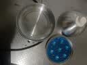 小熊（Bear） 煮蛋器 小型家用电蒸锅智能定时不锈钢蒸蛋器自动断电蒸锅鸡蛋羹迷你鸡蛋器易操作 单层 【旋钮定时+304不锈钢】ZDQ-B07C3 实拍图