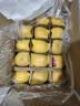 佳农烟台红富士苹果 净重10斤 一级果 单果重160g+  生鲜水果源头直发 实拍图