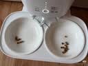 霍曼（Homerun）宠物智能自动喂食器猫粮定时猫咪自动投食机陶瓷双碗增高版PF20 实拍图