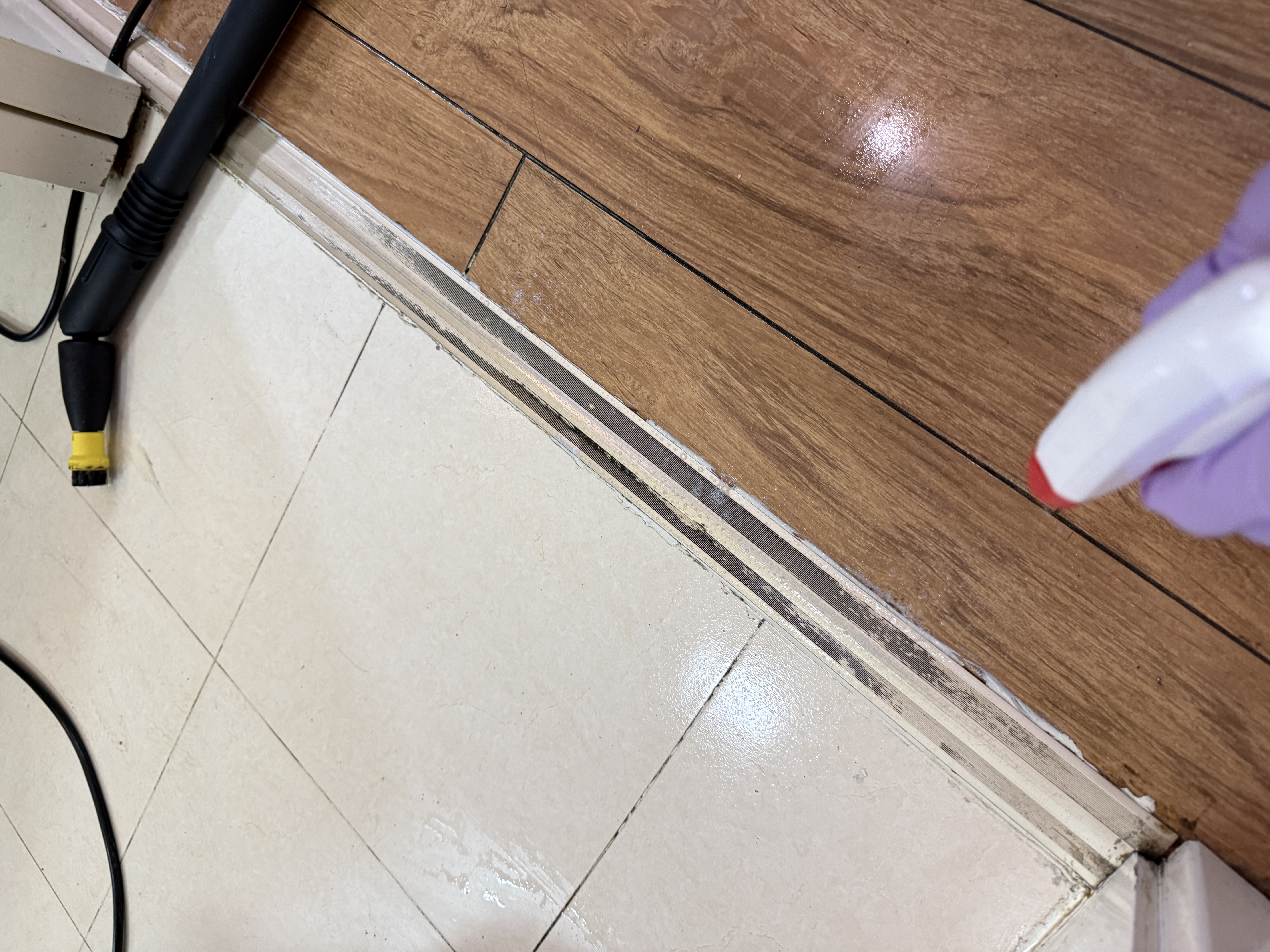 KARCHER德国卡赫 家用多功能高压高温蒸汽清洁机空调清洗机杀菌除螨 SC2 实拍图