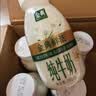 伊利【新鲜日期】金典纯牛奶早餐奶250ml*16盒3.6g 礼盒装 实拍图