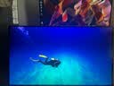 泰坦军团 31.5英寸2304分区 MiniLED 4K 160Hz双模320Hz HDR1000 DyDs0.5ms消除拖影 电竞显示器P326MV MAX 实拍图