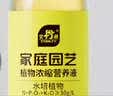 史丹利（STANLEY）水培植物营养液富贵竹专用郁金香水仙花室内盆栽通用型肥料125ml 实拍图