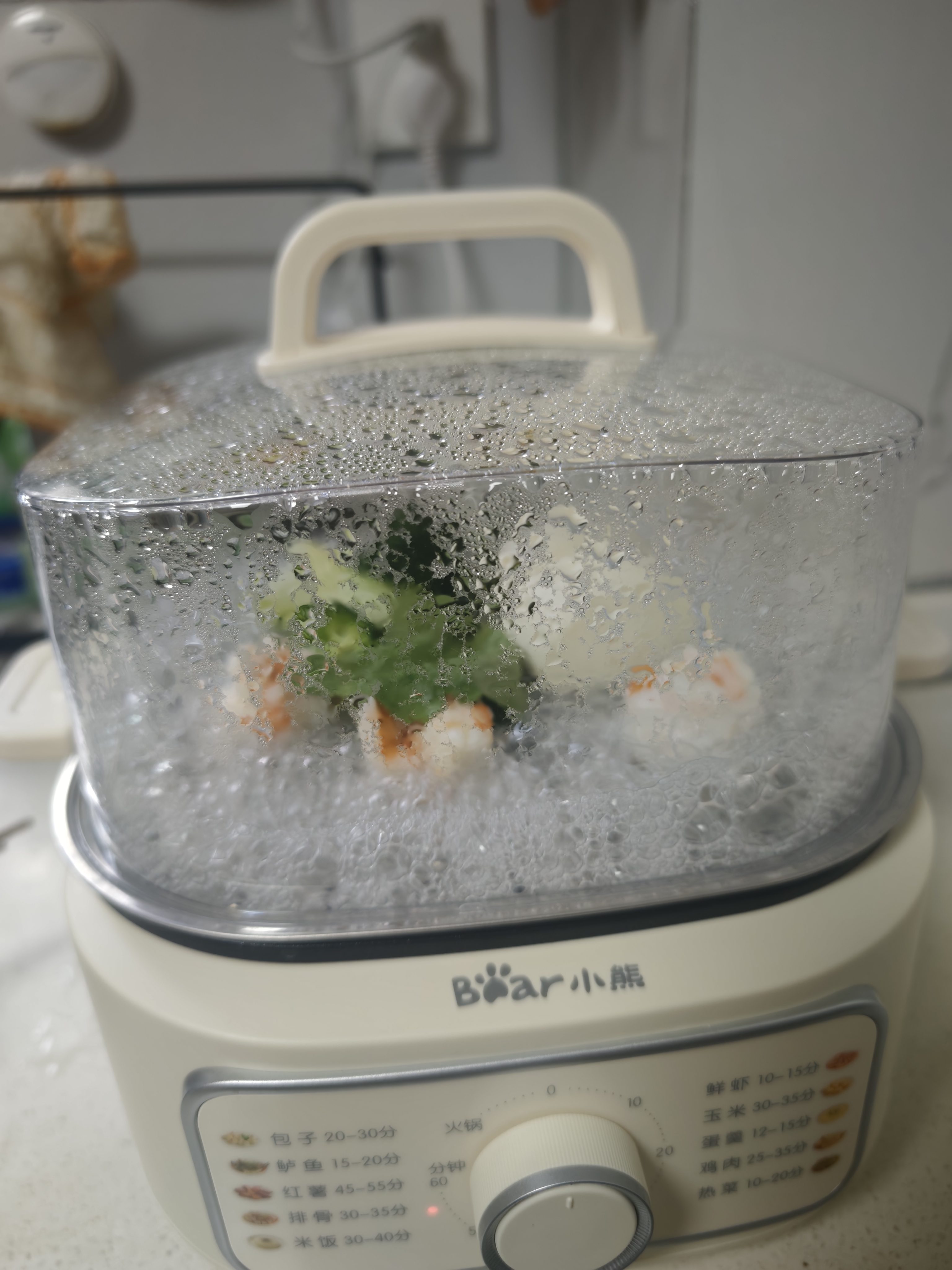小熊（Bear）电蒸锅 多功能蒸煮一体 小型1-2人电热蒸锅 底锅易清洁大功率更快三层11.5L  HA0N7 实拍图