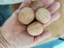 新边界（new boundaries）新疆薄皮核桃1500g 新货阿克苏特产原味坚果非特级纸皮 实拍图