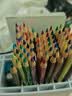 辉柏嘉（Faber-castell）【学生文具】彩铅水溶彩色铅笔画笔套装绘画美术升级版儿童礼物72色水溶纸盒装毕业礼物 实拍图