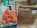 陇原红【顺丰到家】静宁苹果甘肃红富士苹果新鲜孕妇水果源头直发包邮 商超严选|10斤净重8.6斤80中大果17-18枚家庭装 实拍图