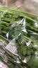 【火锅季】带根香菜100g 实拍图