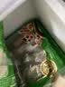 安井烧烤火锅食材丸子组合 400g 撒尿肉丸鱼豆腐爆汁鱼丸仿蟹柳丸料 实拍图