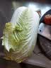 有机大白菜1.2kg 实拍图