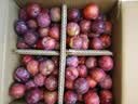 正宗四川小脆红 脆红李子 新鲜应季时令水果李子 新鲜尝鲜包邮 带箱5斤  单果12g+ 实拍图