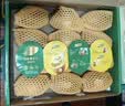 佳沛（zespri）新西兰金奇异果12粒特大果124-146g猕猴桃水果礼盒 实拍图