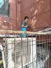 美的空调 酷省电Pro 大3匹一级能效【内外机均双排纯铜管】立式空调柜机国家补贴KFR-72LW/N8KS1-1P 实拍图