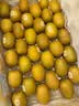 佳沛（zespri）新西兰金奇异果30-33粒原箱103-124g猕猴桃水果礼盒 实拍图