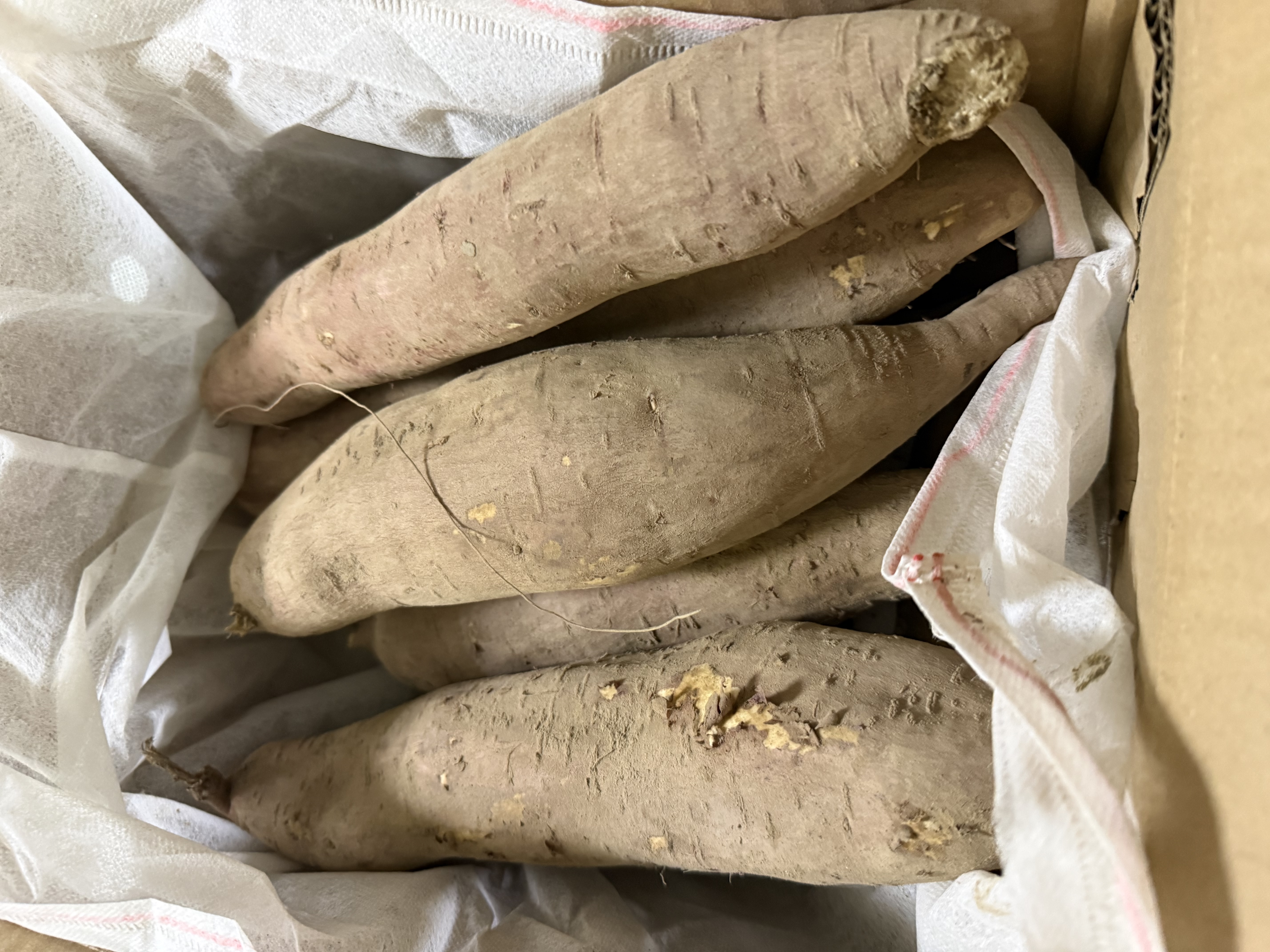 京觅 陕西板栗红薯秦薯五号 净重8.5斤 单果150g起 地瓜蜜薯番薯红苕 实拍图