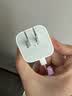 Apple/苹果 40W（至高60W） type-c快充充电器 苹果usb-c原装充电头 苹果iPhone 18 Pro Max充电器 实拍图