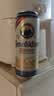1号会员店（One's Member）精酿壹号德式小麦白啤酒500ml*12罐啤酒整箱精酿啤酒京东超市自营 实拍图