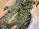 京鲜生云南新鲜羽衣甘蓝净重1.5斤 新鲜蔬菜 健康轻食 源头直发包邮 实拍图