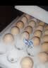京鲜生180°安心鲜鸡蛋30枚 健康轻食 礼盒 1.5kg/盒 源头直发 实拍图
