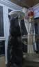 唐米吉吉加粗大型猫爬架猫窝猫树一体太空舱猫架子小户型不占地剑麻猫玩具 【146cm性价比款】破价冲量 实拍图