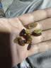 百草味四色葡萄干430g罐装新疆吐鲁番特产原料免洗大果干蜜饯零食 实拍图
