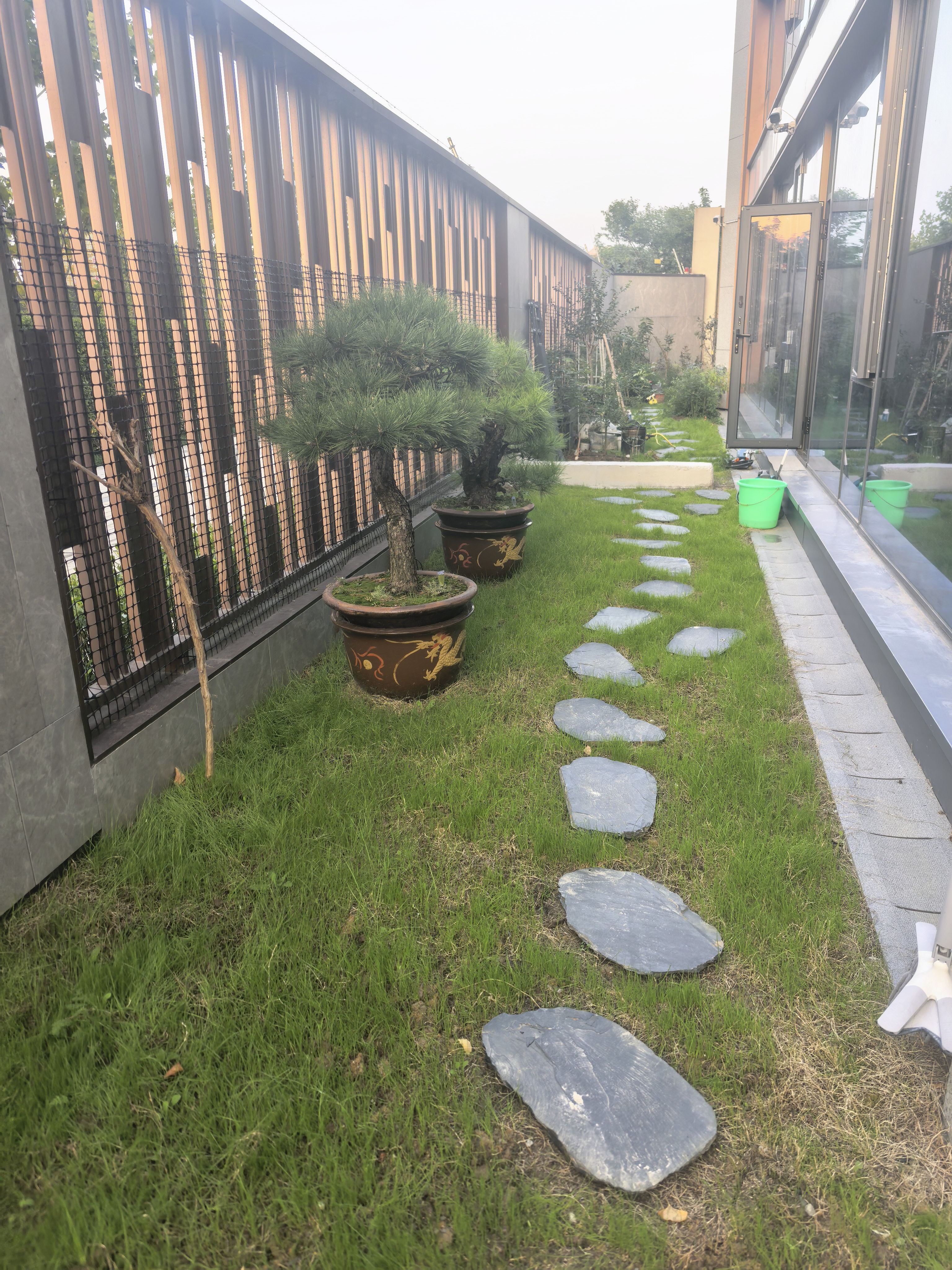 花友秀草坪草子 多年生黑麦草种子 耐寒耐践踏护坡固土易种 500克】 实拍图