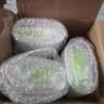 水卫士冰箱清洁剂除味剂500g*3瓶除臭剂多功能清洁剂家电浴室瓷砖油污净 实拍图