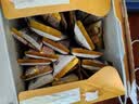 伊利高个子学生奶粉 高蛋白 营养高锌高钙牛磺酸益生菌 便携装 700g 实拍图