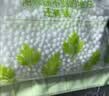 老管家除螨除湿袋230g*9挂式干燥剂室内房间衣柜吸湿防霉防潮剂 实拍图