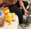 babycare魔性复读鸭毛绒婴儿玩具玩偶安抚宝宝早教学说话儿童见面生日礼物 实拍图