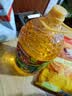 多力经典压榨玉米油6.18L 非转基因家用食用油 实拍图