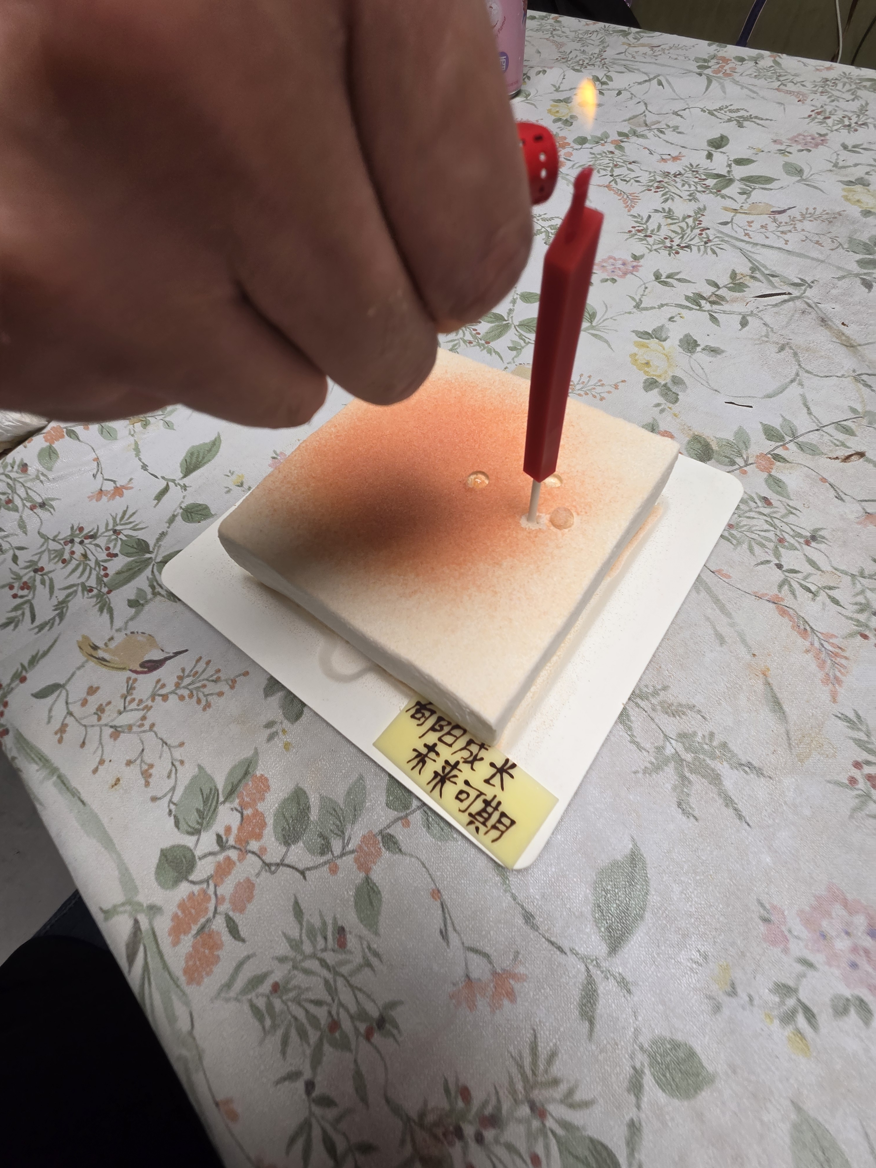 廿一客（21cake）茉莉芭乐生日蛋糕同城配送北京上海当日达下午茶水果动物奶油蛋糕 实拍图