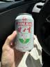 健力宝经典国货1984橙蜜味电解质运动碳酸饮料330ml罐装家庭常备囤货装 经典橙蜜味 330ml*24罐 实拍图