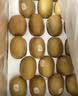 佳沛（zespri）新西兰金奇异果22粒巨大原箱146-175g猕猴桃水果礼盒 实拍图