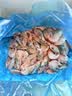 禧美海产海藻头北极甜虾净重1kg/盒 黑头虾 MSC认证 90-120+规格 国庆聚餐 实拍图