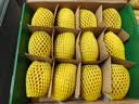 佳沛（zespri）新西兰金奇异果12粒特大果124-146g猕猴桃水果礼盒 实拍图