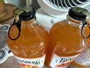 宾得宝（Bundaberg）含气蜜桃汁饮料 375ml*6玻璃瓶装 澳州网红秋日旅游果汁气泡水 实拍图