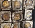 稻香村月饼礼盒 中秋大礼包蛋黄莲蓉家团圆810g 实拍图