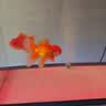 森森鱼缸增氧泵水族箱氧气泵LQE-50家用小型充氧泵3W单孔+全套配件 实拍图