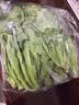【火锅季】七鲜24小时富硒大叶茼蒿 200g 实拍图