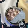 LEGENDSANDY蓝氏狗狗零食狗罐头鸭肉罐头狗粮狗湿粮拌饭补水胡萝卜杏鲍菇100g 实拍图