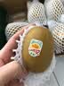 佳沛（zespri）新西兰金奇异果10个装单果重103-114g猕猴桃水果礼盒 实拍图