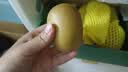 佳沛（zespri）新西兰阳光金奇异果6粒装88-103g猕猴桃水果水果礼盒 实拍图